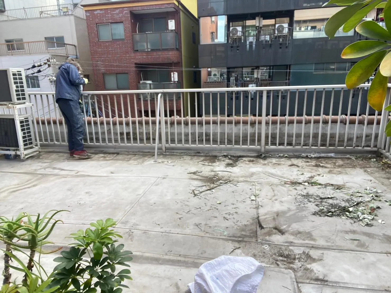 屋上防水の現状写真