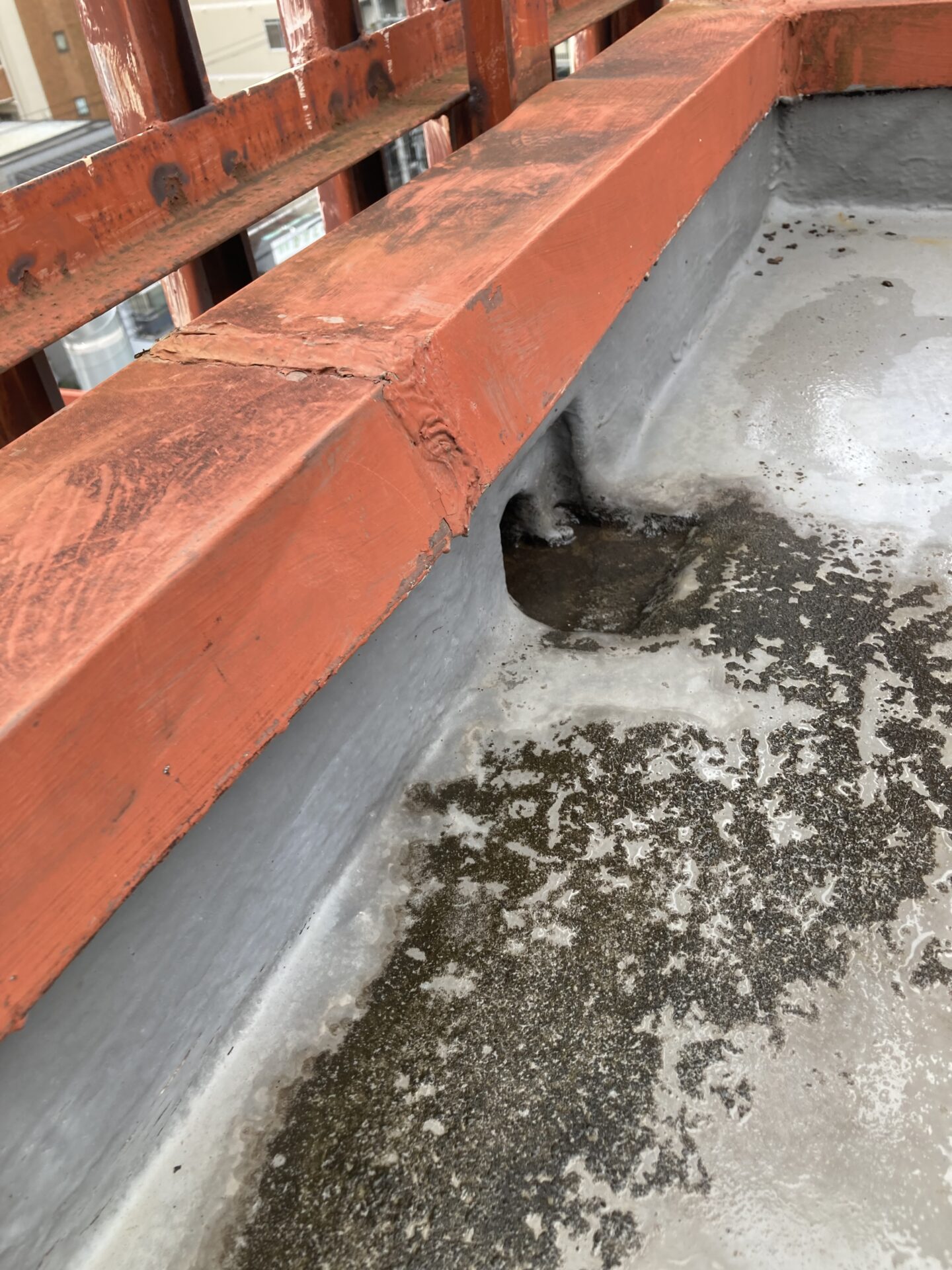 屋上防水の写真